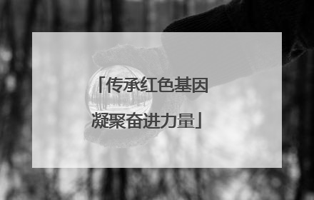 传承红色基因 凝聚奋进力量