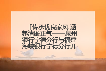 传承优良家风 涵养清廉正气——泉州银行宁德分行与福建海峡银行宁德分行开展主题党日活动
