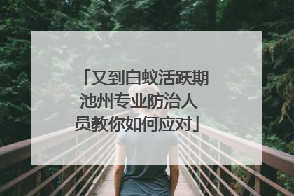 又到白蚁活跃期 池州专业防治人员教你如何应对