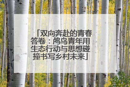 双向奔赴的青春答卷：鸬鸟青年用生态行动与思想碰撞书写乡村未来