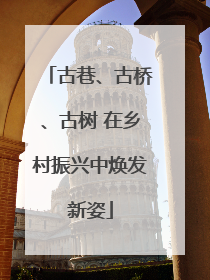 古巷、古桥、古树 在乡村振兴中焕发新姿