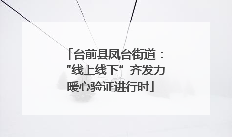 台前县凤台街道：“线上线下”齐发力 暖心验证进行时