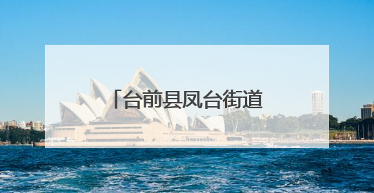 台前县凤台街道：“三向发力”优化营商环境 赋能企业发展新活力