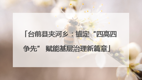 台前县夹河乡：锚定“四高四争先” 赋能基层治理新篇章