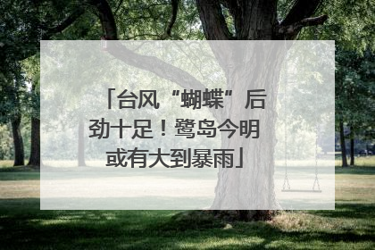 台风“蝴蝶”后劲十足！鹭岛今明或有大到暴雨