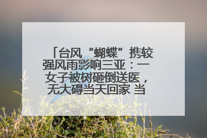 台风“蝴蝶”携较强风雨影响三亚：一女子被树砸倒送医，无大碍当天回家 当地已紧急清障