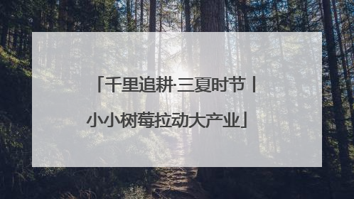 千里追耕·三夏时节丨小小树莓拉动大产业