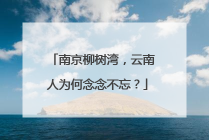 南京柳树湾，云南人为何念念不忘？