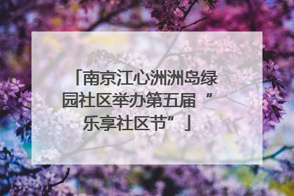 南京江心洲洲岛绿园社区举办第五届“乐享社区节”
