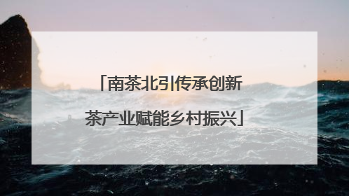 南茶北引传承创新 茶产业赋能乡村振兴