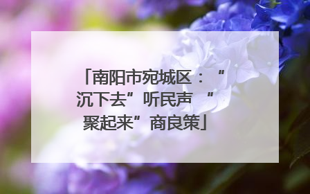 南阳市宛城区：“沉下去”听民声 “聚起来”商良策
