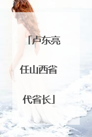 卢东亮任山西省代省长