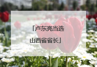 卢东亮当选山西省省长