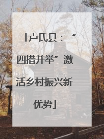卢氏县：“四措并举”激活乡村振兴新优势