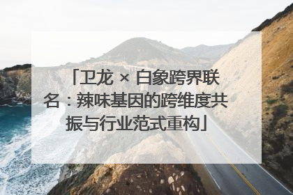 卫龙 × 白象跨界联名：辣味基因的跨维度共振与行业范式重构