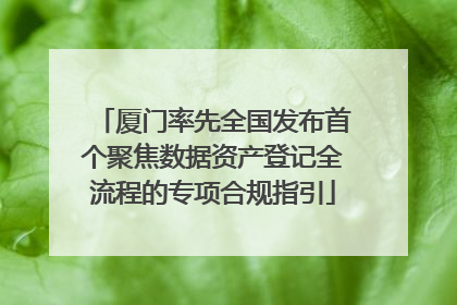 厦门率先全国发布首个聚焦数据资产登记全流程的专项合规指引