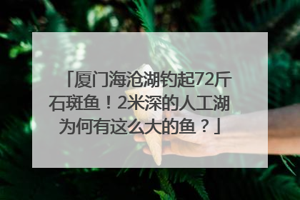 厦门海沧湖钓起72斤石斑鱼！2米深的人工湖为何有这么大的鱼？