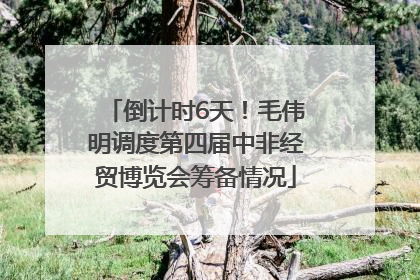 倒计时6天！毛伟明调度第四届中非经贸博览会筹备情况