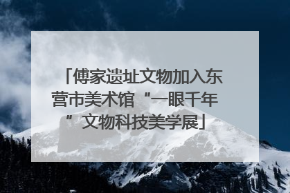傅家遗址文物加入东营市美术馆“一眼千年”文物科技美学展