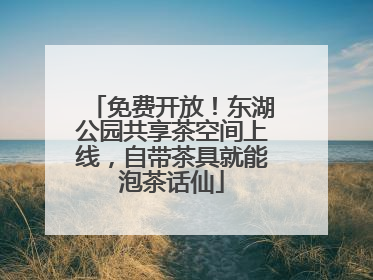 免费开放！东湖公园共享茶空间上线，自带茶具就能泡茶话仙