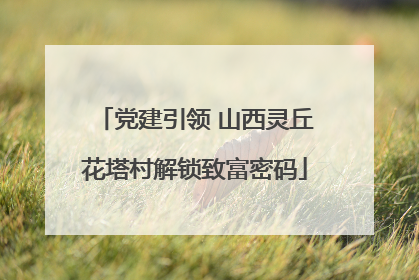 党建引领 山西灵丘花塔村解锁致富密码