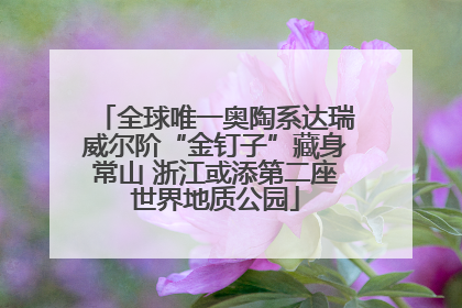 全球唯一奥陶系达瑞威尔阶“金钉子”藏身常山 浙江或添第二座世界地质公园
