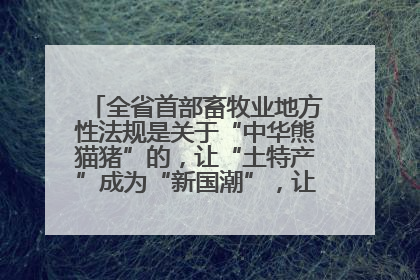 全省首部畜牧业地方性法规是关于“中华熊猫猪”的，让“土特产”成为“新国潮”，让“农产品”升格为“城市IP”