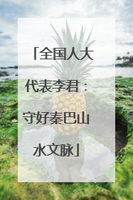 全国人大代表李君：守好秦巴山水文脉