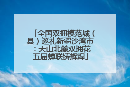 全国双拥模范城（县）巡礼新疆沙湾市：天山北麓双拥花 五届蝉联铸辉煌