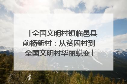 全国文明村镇临邑县前杨新村：从贫困村到全国文明村华丽蜕变
