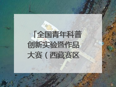 全国青年科普创新实验暨作品大赛（西藏赛区）复赛关注智慧环保等主题