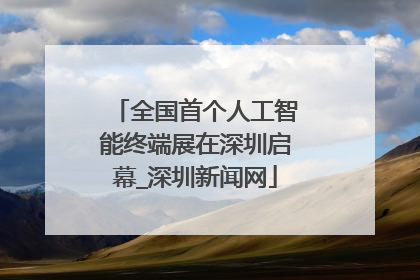 全国首个人工智能终端展在深圳启幕_深圳新闻网