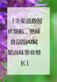 全渠道数智化领航，绝味食品用AI赋能卤味事业增长