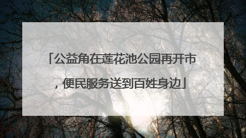 公益角在莲花池公园再开市，便民服务送到百姓身边
