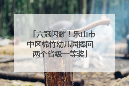 六冠闪耀！乐山市中区棉竹幼儿园捧回两个省级一等奖
