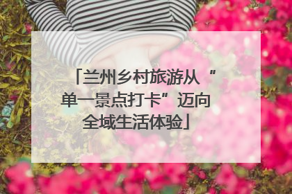 兰州乡村旅游从“单一景点打卡”迈向全域生活体验
