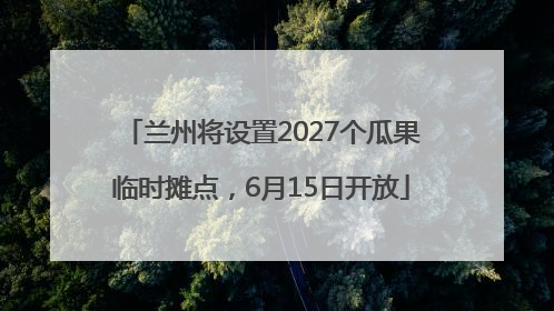 兰州将设置2027个瓜果临时摊点，6月15日开放