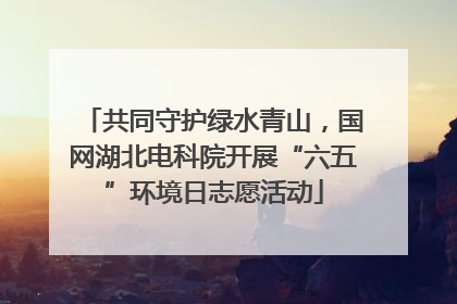 共同守护绿水青山，国网湖北电科院开展“六五”环境日志愿活动