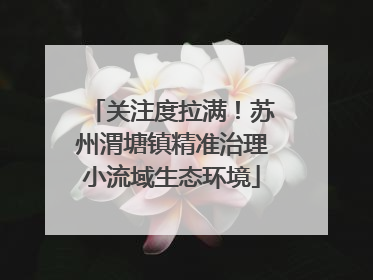 关注度拉满！苏州渭塘镇精准治理小流域生态环境
