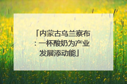 内蒙古乌兰察布：一杯酸奶为产业发展添动能