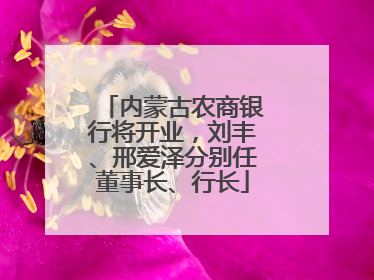 内蒙古农商银行将开业，刘丰、邢爱泽分别任董事长、行长