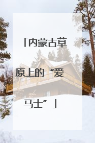 内蒙古草原上的“爱马士”
