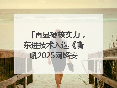 再显硬核实力，东进技术入选《嘶吼2025网络安全产业图谱》