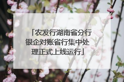 农发行湖南省分行银企对账省行集中处理正式上线运行