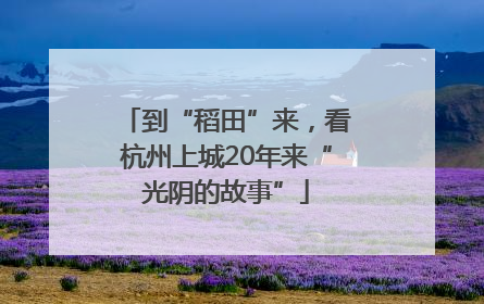 到“稻田”来，看杭州上城20年来“光阴的故事”