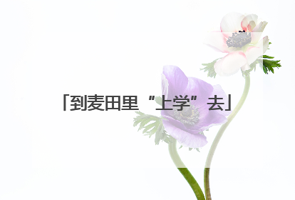 到麦田里“上学”去