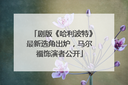 剧版《哈利波特》最新选角出炉，马尔福饰演者公开