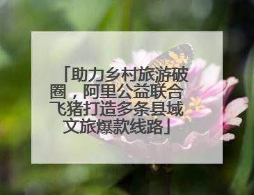 助力乡村旅游破圈，阿里公益联合飞猪打造多条县域文旅爆款线路
