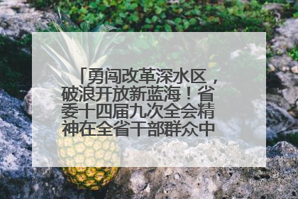 勇闯改革深水区，破浪开放新蓝海！省委十四届九次全会精神在全省干部群众中引发热烈反响