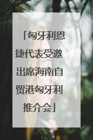 匈牙利恩捷代表受邀出席海南自贸港匈牙利推介会